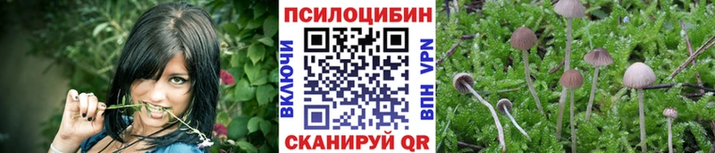 Галлюциногенные грибы ЛСД  Сосновоборск 